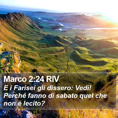 Marco 2:24 RIV Bible Verse Image