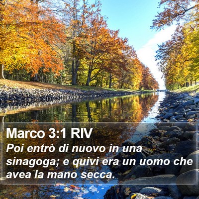 Marco 3:1 RIV Bible Verse Image