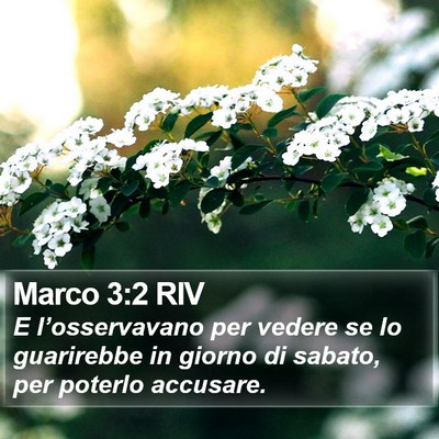 Marco 3:2 RIV Bible Verse Image