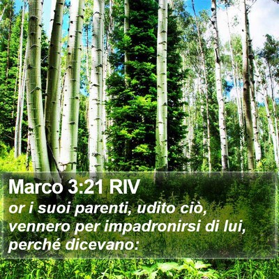 Marco 3:21 RIV Bible Verse Image