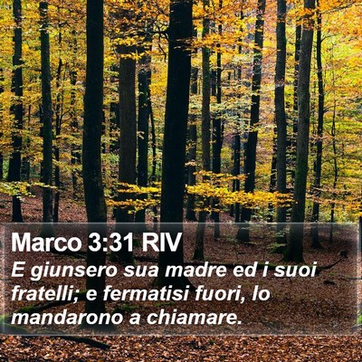 Marco 3:31 RIV Bible Verse Image