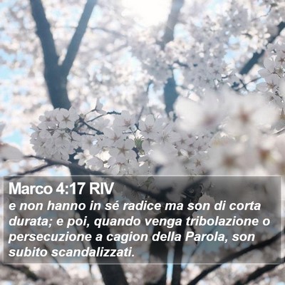 Marco 4:17 RIV Bible Verse Image
