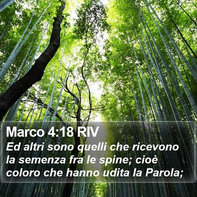 Marco 4:18 RIV Bible Verse Image
