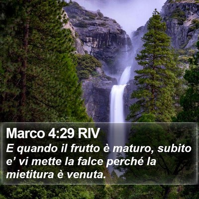 Marco 4:29 RIV Bible Verse Image