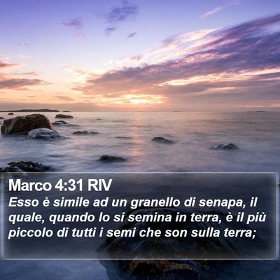 Marco 4:31 RIV Bible Verse Image