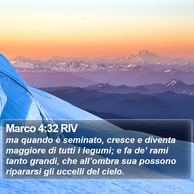 Marco 4:32 RIV Bible Verse Image