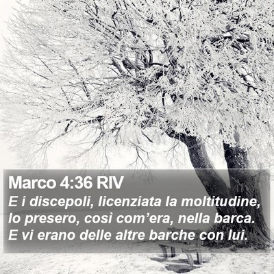 Marco 4:36 RIV Bible Verse Image