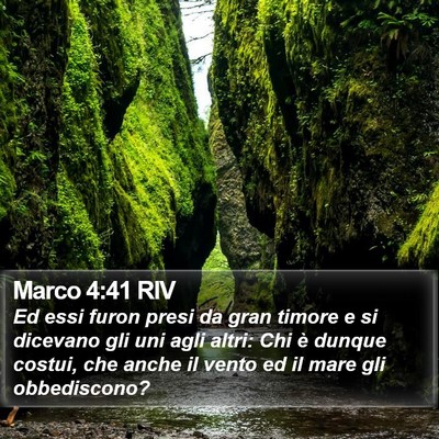 Marco 4:41 RIV Bible Verse Image