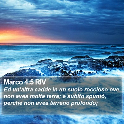 Marco 4:5 RIV Bible Verse Image