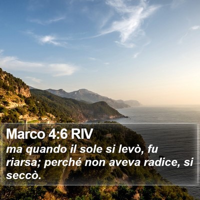 Marco 4:6 RIV Bible Verse Image