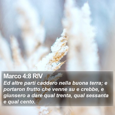 Marco 4:8 RIV Bible Verse Image