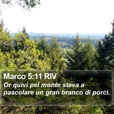 Marco 5:11 RIV Bible Verse Image