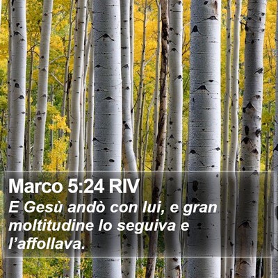 Marco 5:24 RIV Bible Verse Image