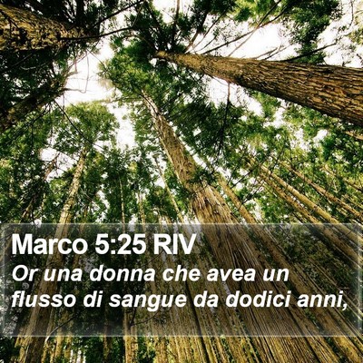 Marco 5:25 RIV Bible Verse Image