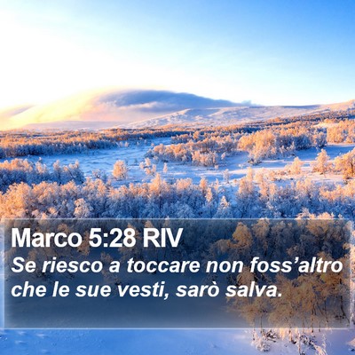 Marco 5:28 RIV Bible Verse Image