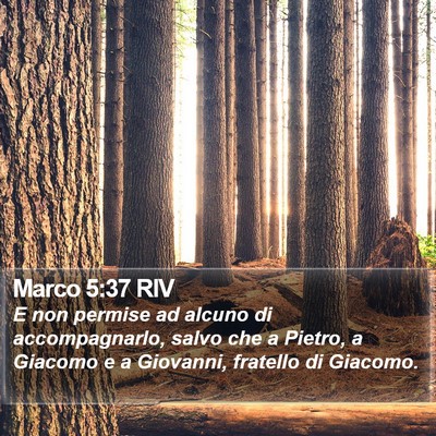 Marco 5:37 RIV Bible Verse Image