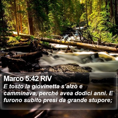 Marco 5:42 RIV Bible Verse Image