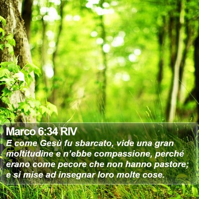 Marco 6:34 RIV Bible Verse Image