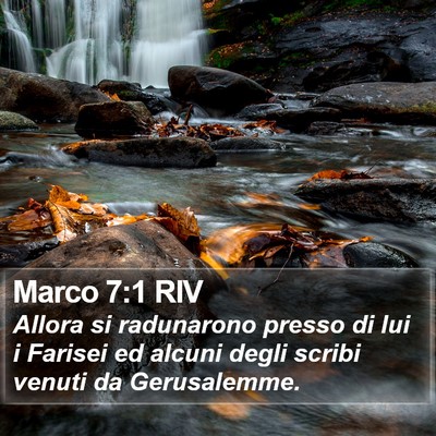 Marco 7:1 RIV Bible Verse Image