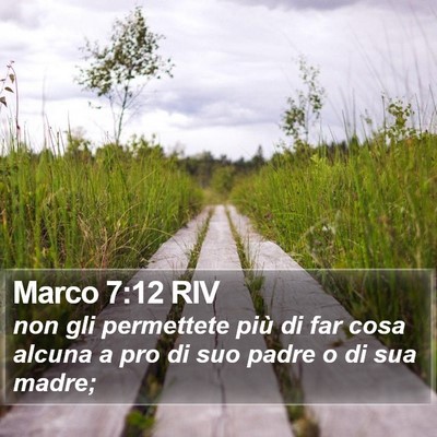Marco 7:12 RIV Bible Verse Image