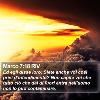 Marco 7:18 RIV Bible Verse Image