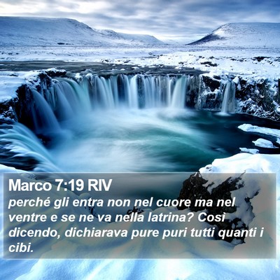Marco 7:19 RIV Bible Verse Image
