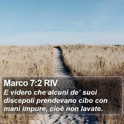 Marco 7:2 RIV Bible Verse Image