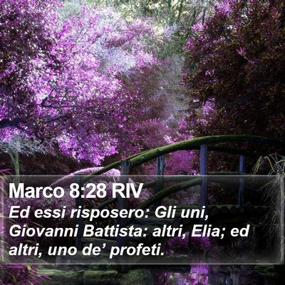 Marco 8:28 RIV Bible Verse Image