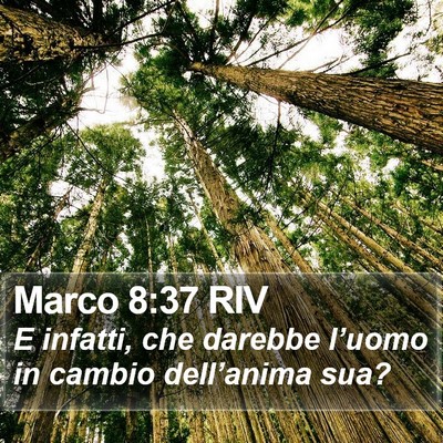 Marco 8:37 RIV Bible Verse Image