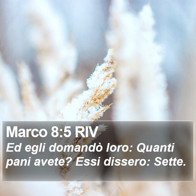 Marco 8:5 RIV Bible Verse Image