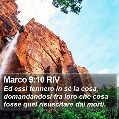Marco 9:10 RIV Bible Verse Image