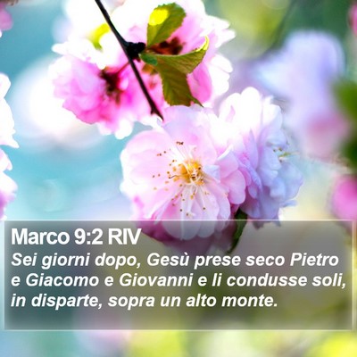 Marco 9:2 RIV Bible Verse Image