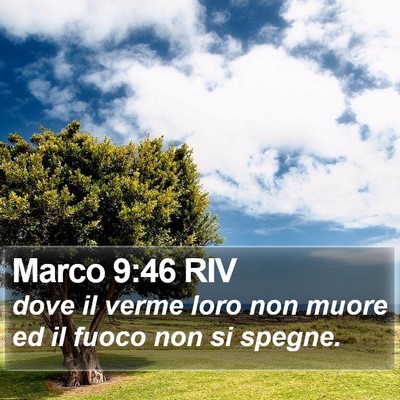 Marco 9:46 RIV Bible Verse Image