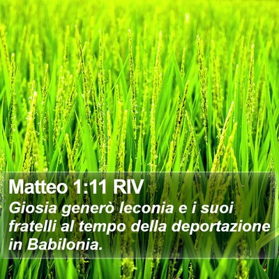 Matteo 1:11 RIV Bible Verse Image