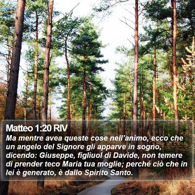 Matteo 1:20 RIV Bible Verse Image