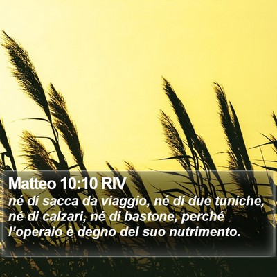 Matteo 10:10 RIV Bible Verse Image