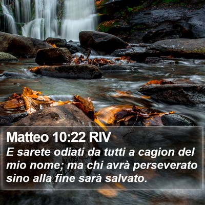 Matteo 10:22 RIV Bible Verse Image