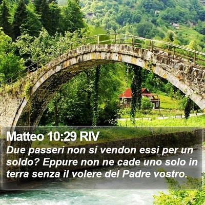 Matteo 10:29 RIV Bible Verse Image