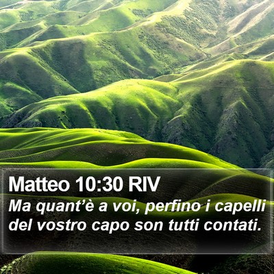 Matteo 10:30 RIV Bible Verse Image