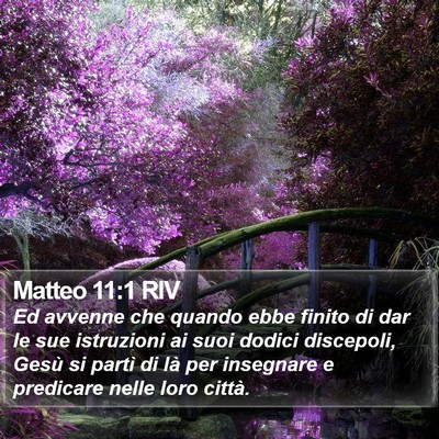 Matteo 11:1 RIV Bible Verse Image