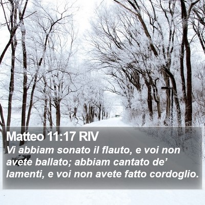 Matteo 11:17 RIV Bible Verse Image