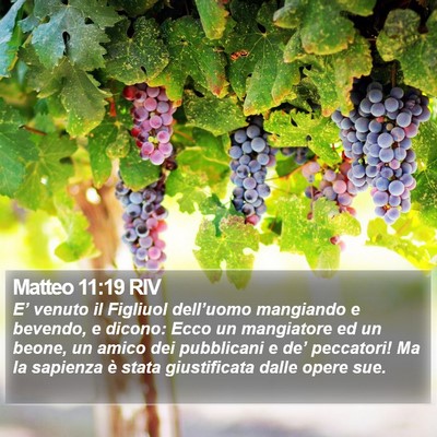 Matteo 11:19 RIV Bible Verse Image