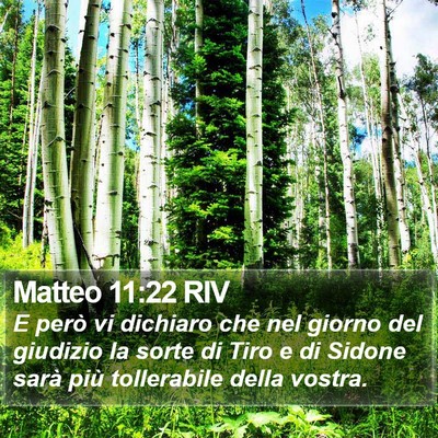 Matteo 11:22 RIV Bible Verse Image
