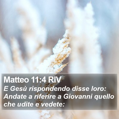 Matteo 11:4 RIV Bible Verse Image