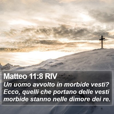Matteo 11:8 RIV Bible Verse Image