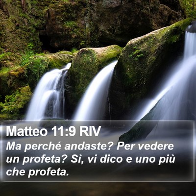Matteo 11:9 RIV Bible Verse Image