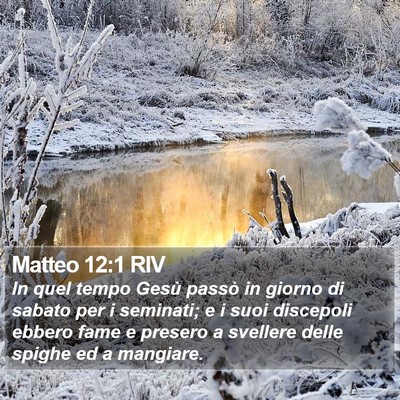 Matteo 12:1 RIV Bible Verse Image
