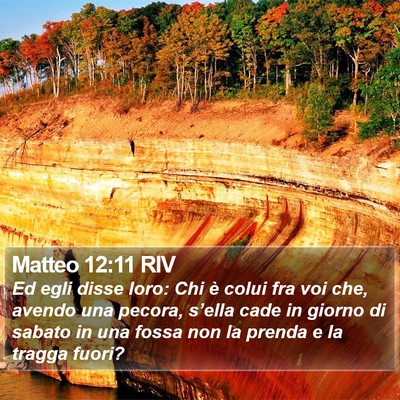 Matteo 12:11 RIV Bible Verse Image