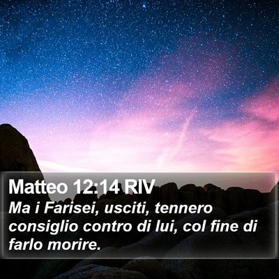 Matteo 12:14 RIV Bible Verse Image