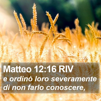 Matteo 12:16 RIV Bible Verse Image